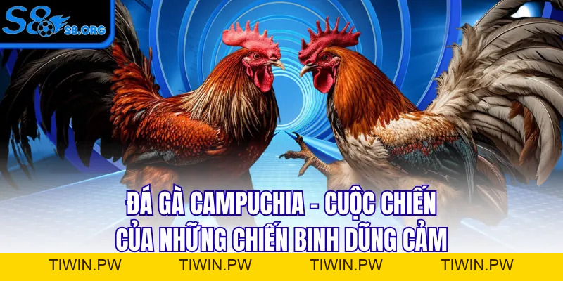 S8 ⚡️CNBBS8 Link Trang Chủ S8.COM Trung Thu Tặng Samsung S8+ - Tiwin