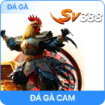 S8 ⚡️CNBBS8 Link Trang Chủ S8.COM Trung Thu Tặng Samsung S8+ - Tiwin