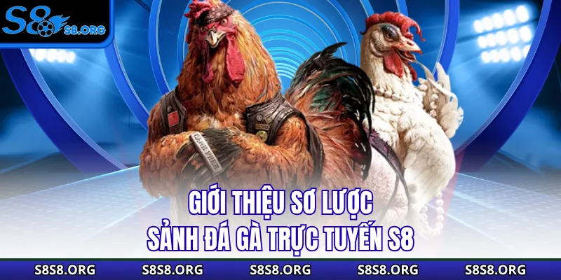 Đá Gà S8 - Sân Chơi Chọi Kê Đẳng Cấp Số 1 Châu Á - Tiwin