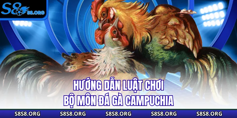 Đá Gà Campuchia - Cuộc Chiến Của Những Chiến Binh Dũng Cảm - Tiwin