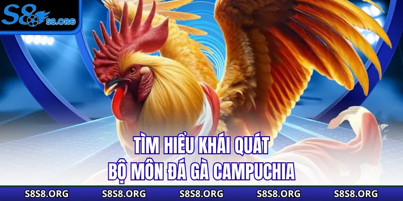 Đá Gà Campuchia - Cuộc Chiến Của Những Chiến Binh Dũng Cảm - Tiwin
